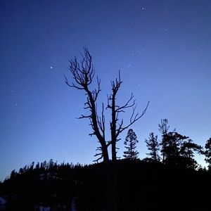 Meet your Posher, Millie hallman